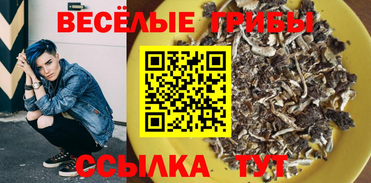 Павловский Посад  Псилоцибиновые грибы Psilocybe  Вход с VPN 