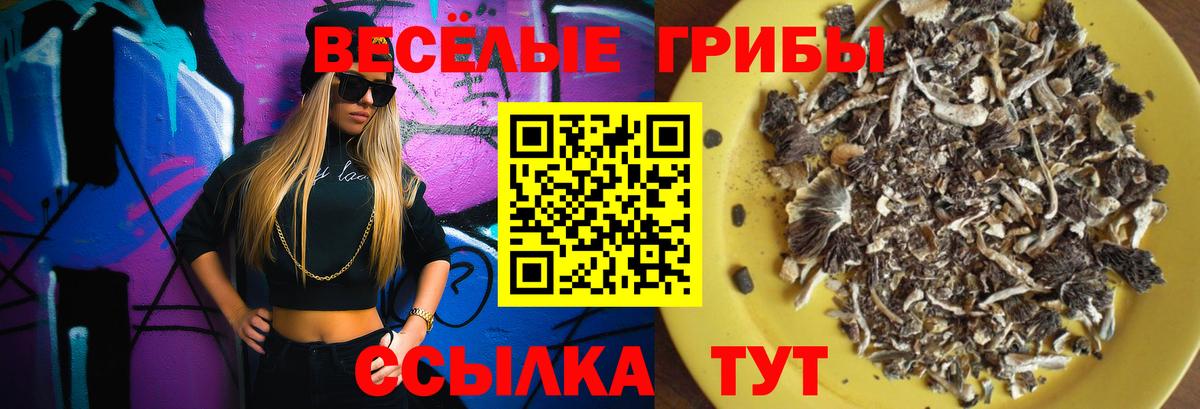 Сколько стоит  Павловский Посад  Канабис  Вход с VPN  Cocaine  Меф  МЕФ кристаллы  МДМА 